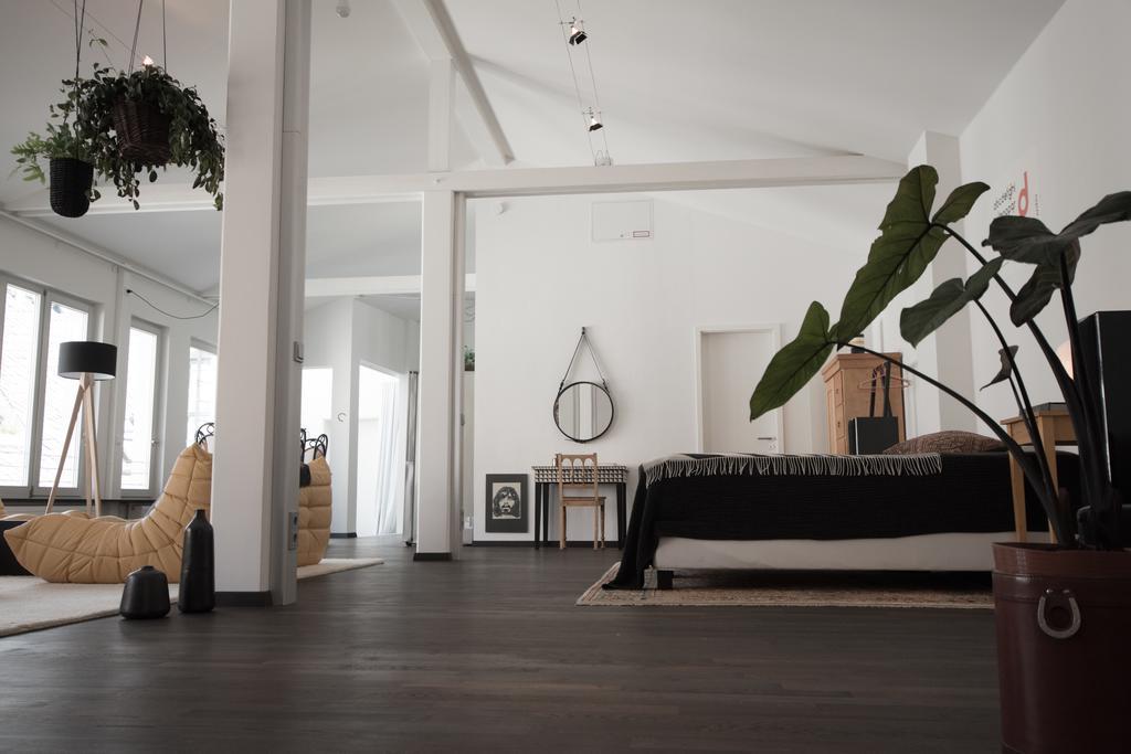 Apartment Artist Loft - 120 M2 Weimar (Thuringia)